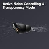 Beats Studio Buds + True Wireless Noise Cancelling Earbuds with Spatial Audio