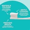 Native Fluoride-Free Whitening Toothpaste, Wild Mint & Peppermint, 3-Pack