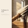 TRENFI Natural Boar Bristle Wood Round Hair Brush for Fine Hair - 2.75 Inch