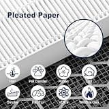 PETOX 116130 Replacement Filter H Combo 2-Pack for Winix 5500-2 and AM80