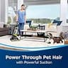 Bissell 2252 CleanView Swivel Pet Upright Bagless Vacuum with Triple Action Brush