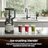 Ninja AMZ493BRN Compact Kitchen System with 72 oz Pitcher