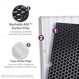 Genuine Winix 116130 Replacement Filter H Set for 5500-2 and AM80 Air Purifiers