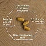 New Chapter Fermented Postnatal Vitamins & Lactation Supplement