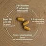 New Chapter Fermented Postnatal Vitamins & Lactation Supplement