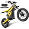 Heybike Villain Electric Dirt Bike, 4160W Mid-Drive Motor, 1352Wh Battery