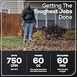 Greenworks 80V Brushless Cordless Backpack Leaf Blower with 4.0Ah Battery