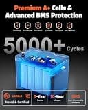 12V 100Ah LiFePO4 BCI Group 31 Deep Cycle RV and Marine Battery with 100A BMS