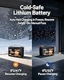LiTime 12V 100Ah Bluetooth Trolling Motor LiFePO4 Battery (Group 31)